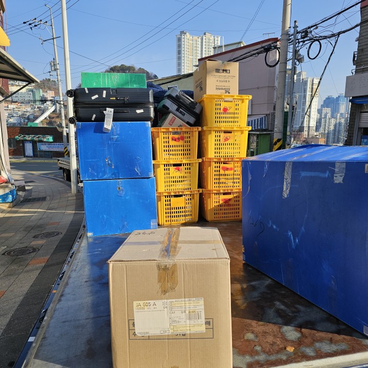 [기자단] 개OO물용달