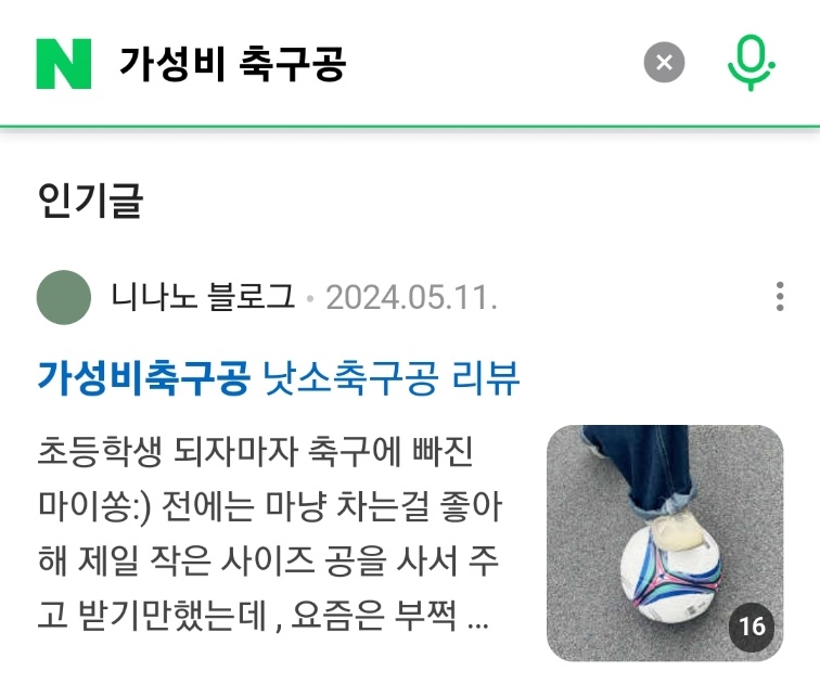 블로그체험단_가성비축구공.jpg
