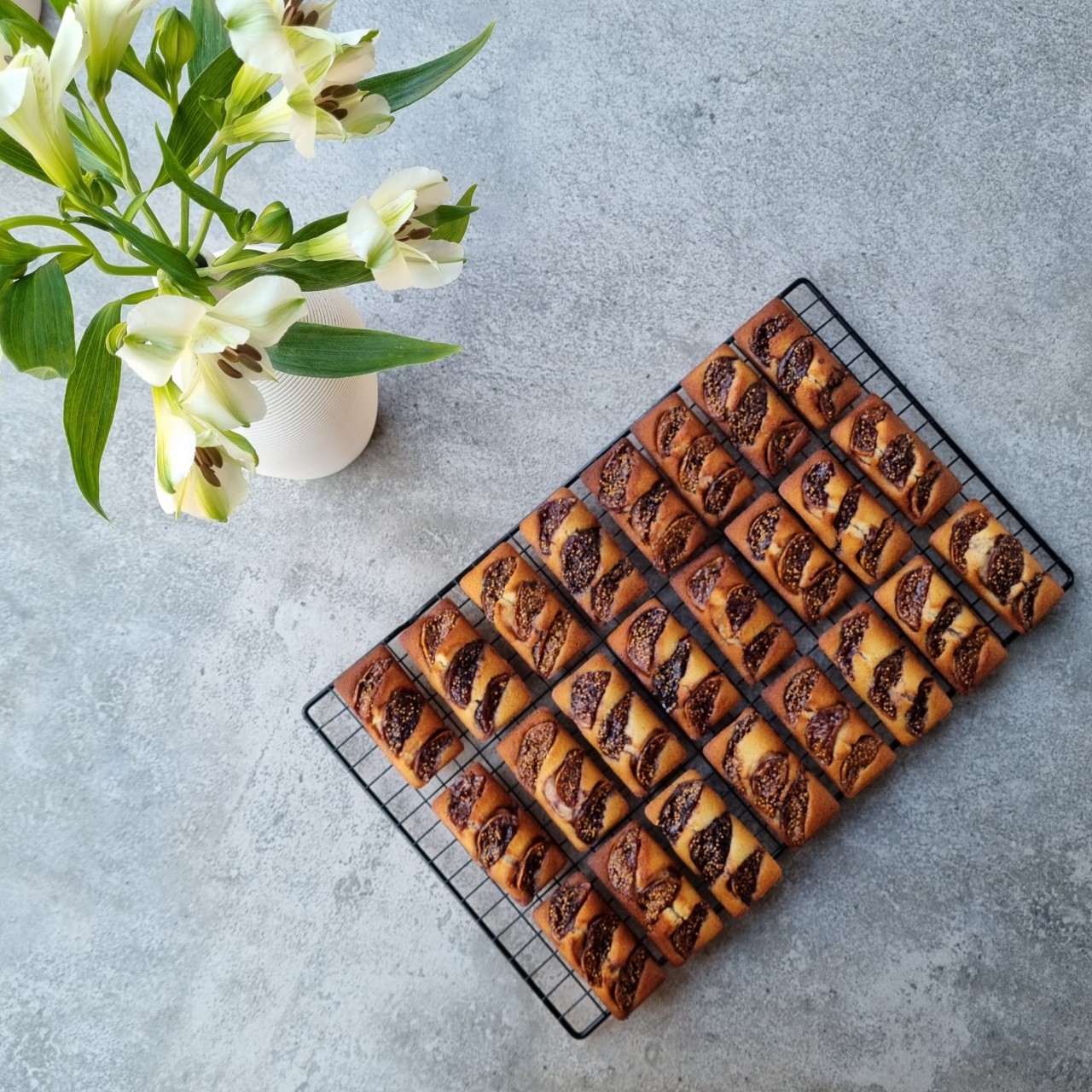 다운로드 (8).jpg