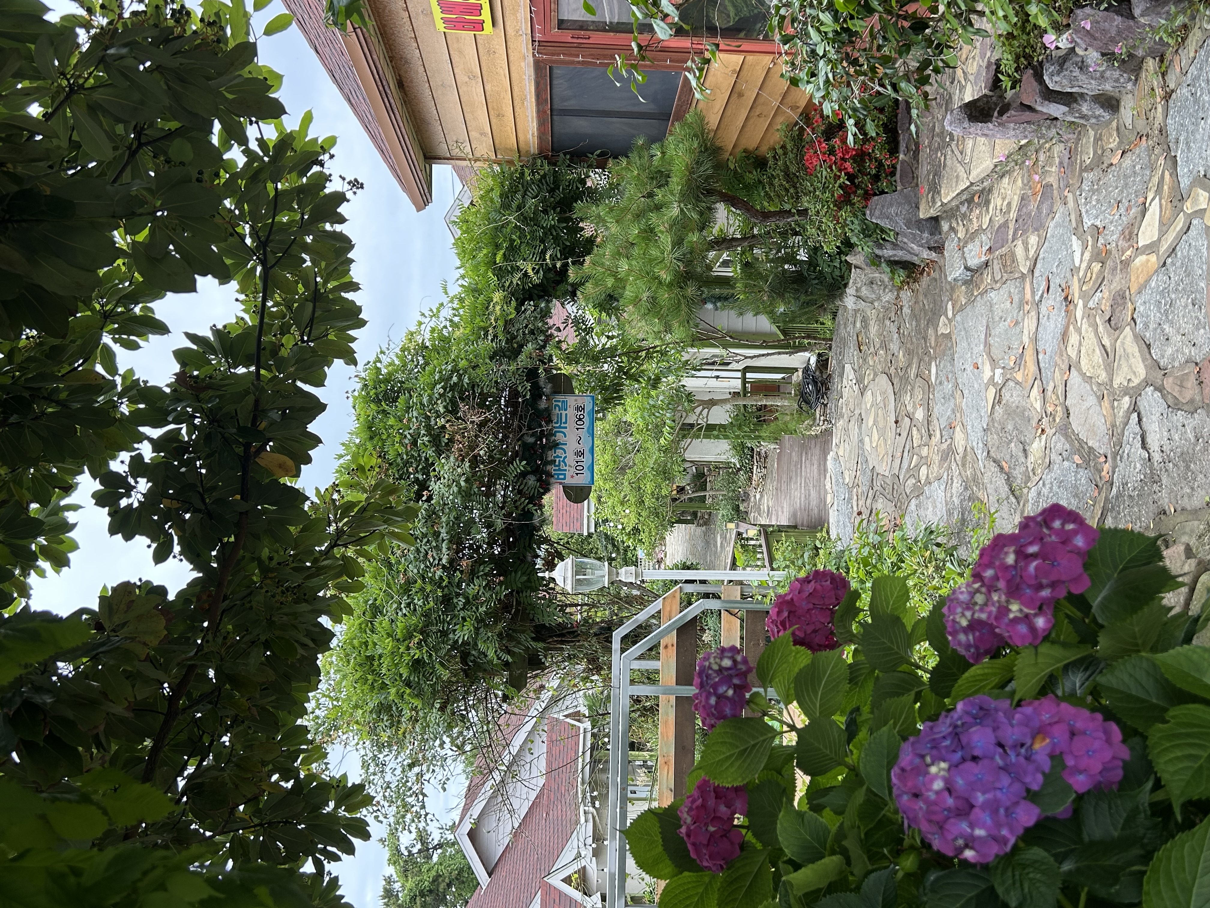 IMG_5349.jpeg